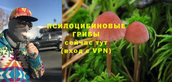мяу мяу кристалл Горно-Алтайск